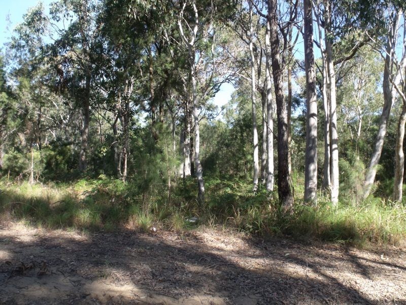 10 WIRRALEE, Macleay Island QLD 4184