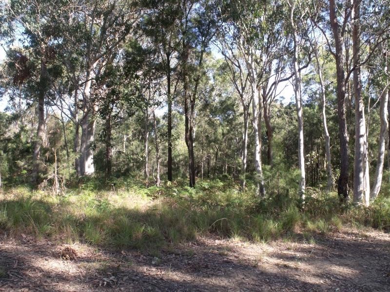 10 WIRRALEE, Macleay Island QLD 4184