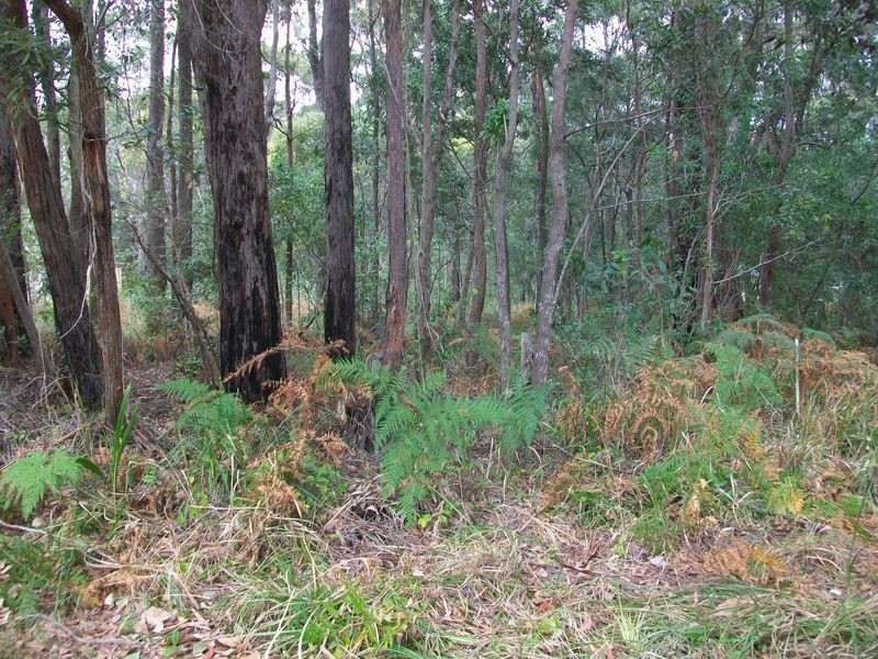 6 Angorra, Russell Island QLD 4184