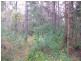 6 Angorra, Russell Island QLD 4184