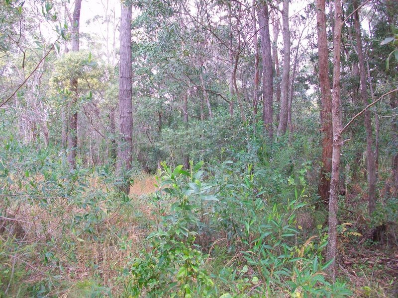 6 Angorra, Russell Island QLD 4184