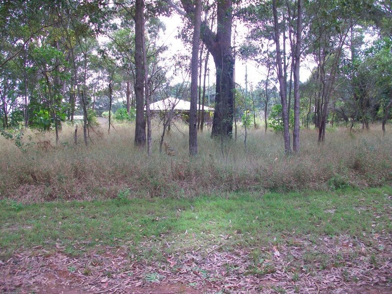 43 Dempsey St, Russell Island QLD 4184