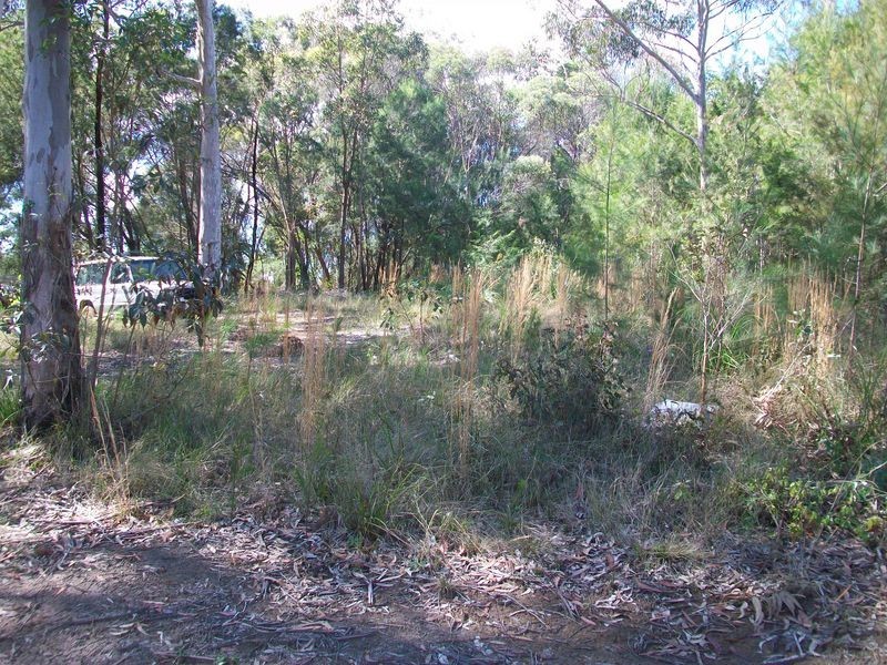 37 Jasper St, Russell Island QLD 4184
