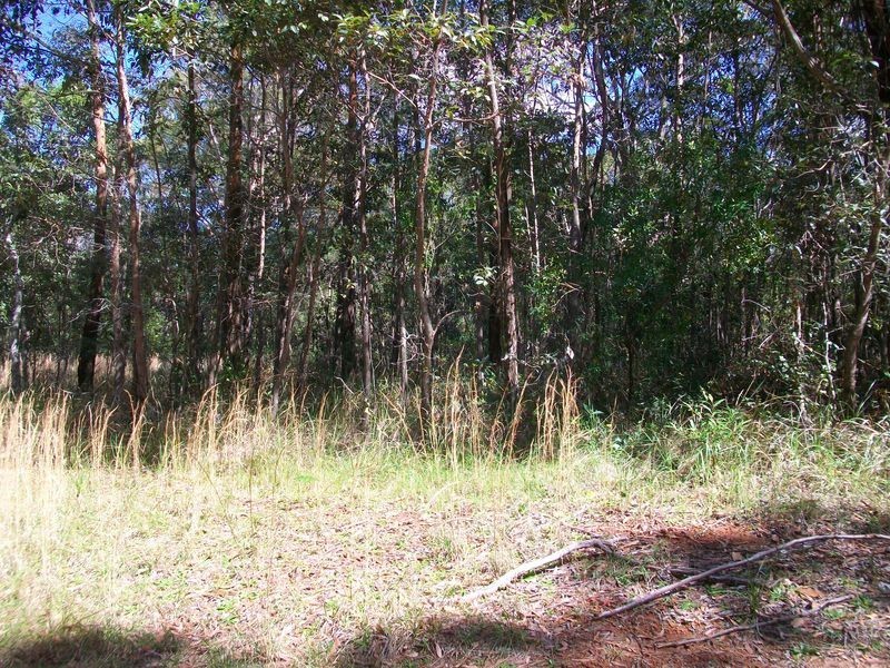 2 Lucy St., Russell Island QLD 4184