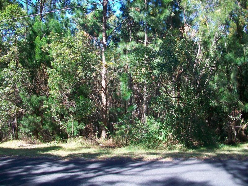 2 Todman St., Russell Island QLD 4184