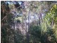 37 Belgrave Rd, Russell Island QLD 4184
