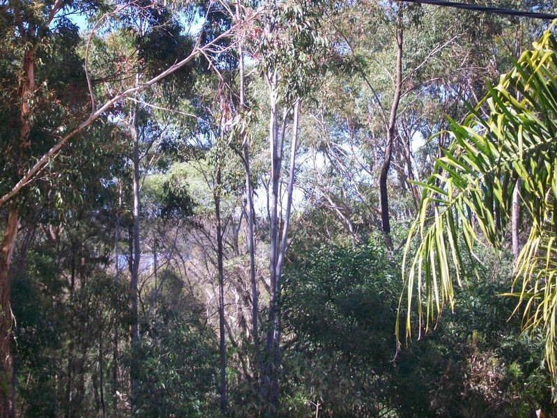 37 Belgrave Rd, Russell Island QLD 4184