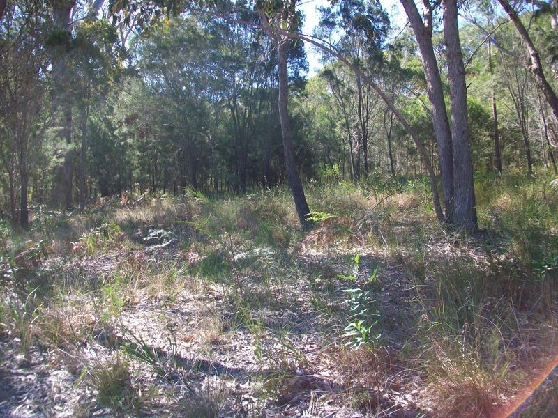31 Magnolia St., Russell Island QLD 4184