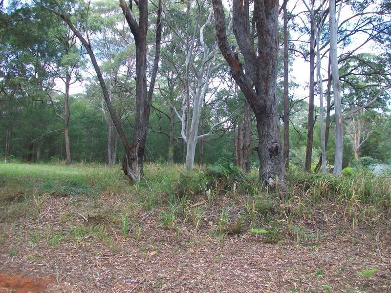 14 Barcelona Tce, Russell Island QLD 4184