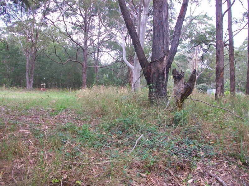 14 Barcelona Tce, Russell Island QLD 4184