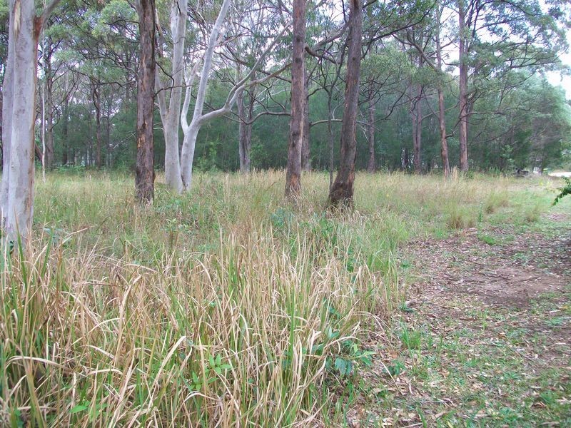 14 Barcelona Tce, Russell Island QLD 4184
