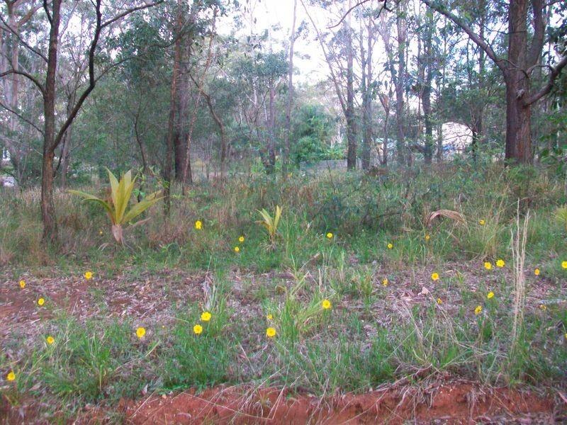 4  Park Ave, Russell Island QLD 4184