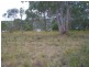 99 Highland Ridge, Russell Island QLD 4184