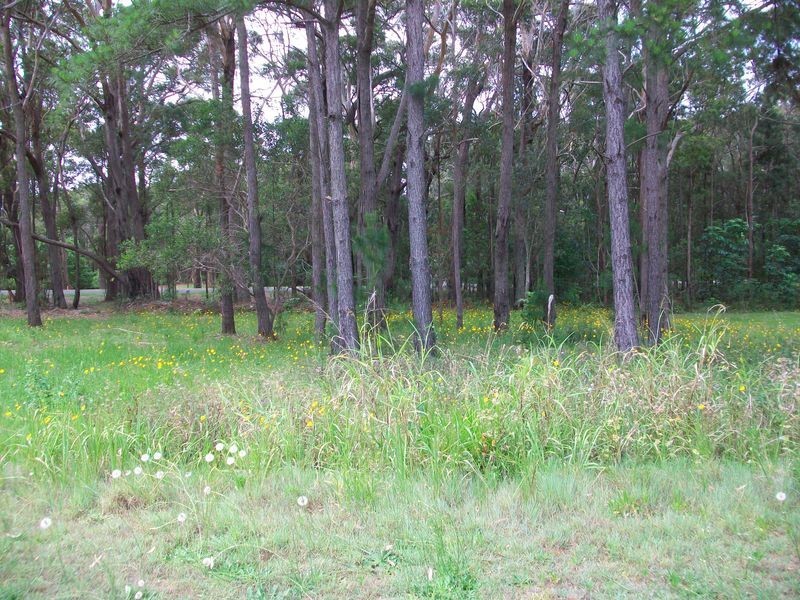 17 Nicholas St., Russell Island QLD 4184