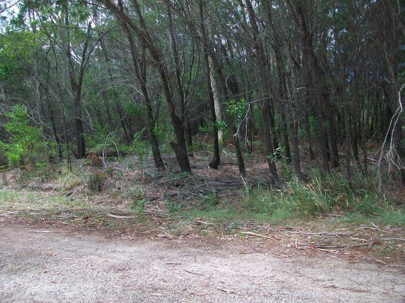 9 Saturn St., Russell Island QLD 4184