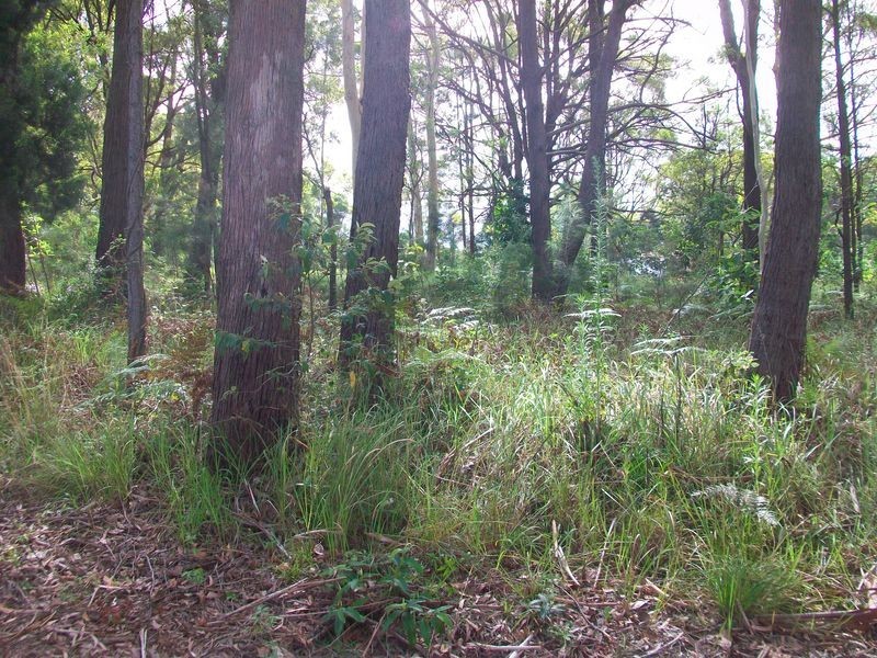 23 Meadstone St., Russell Island QLD 4184