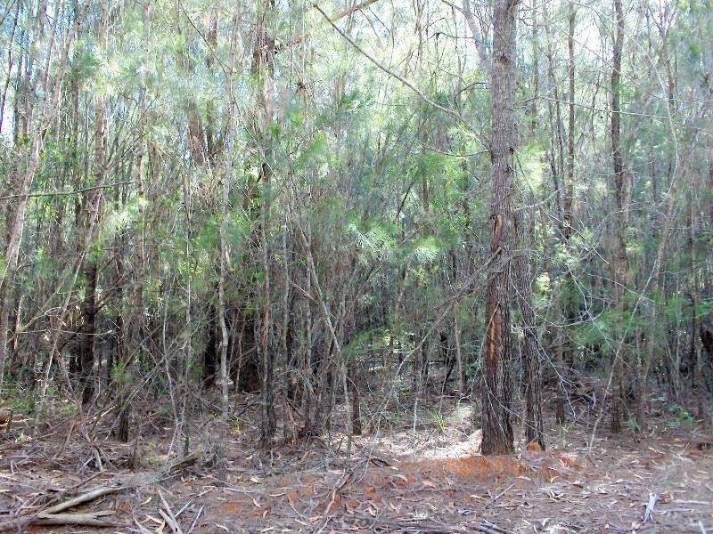 10 Saturn, Russell Island QLD 4184