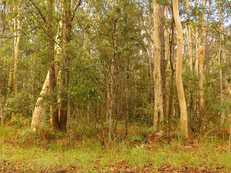 6 Woodlands Circuit, Russell Island QLD 4184