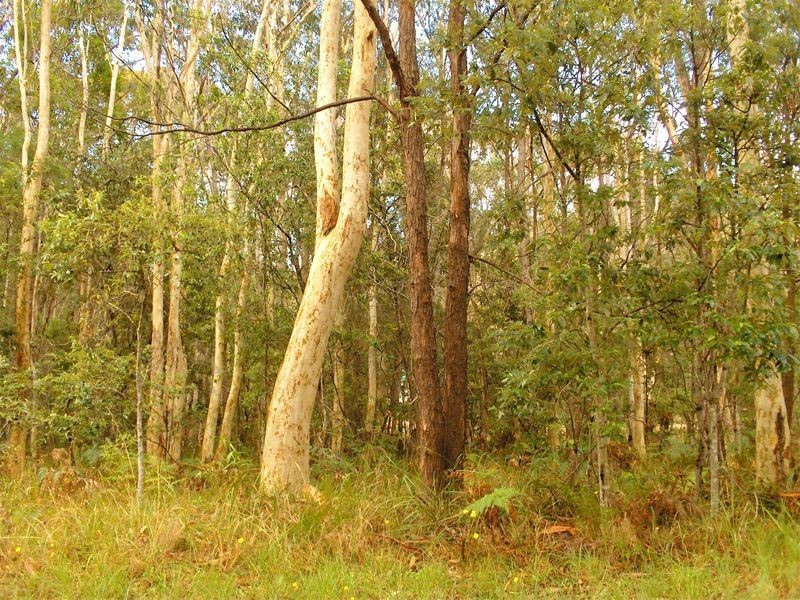 6 Woodlands Circuit, Russell Island QLD 4184