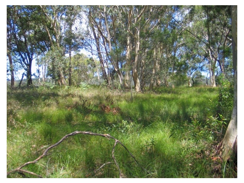 . Double Island Outlook, Russell Island QLD 4184