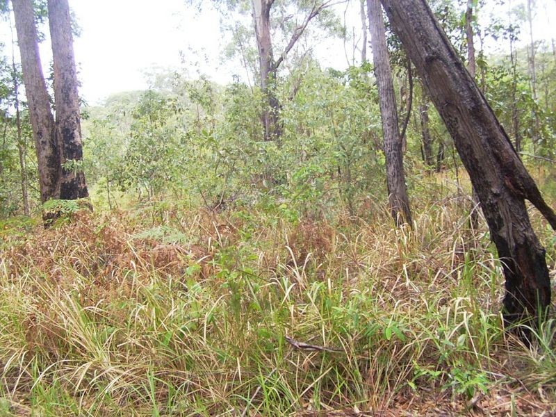 11 Suva Road, Russell Island QLD 4184