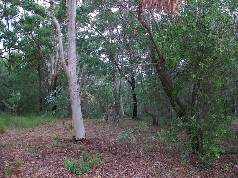 38 Villa Wood Road, Russell Island QLD 4184