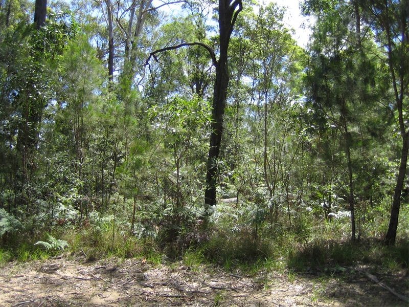 3 Billambang Street, Russell Island QLD 4184