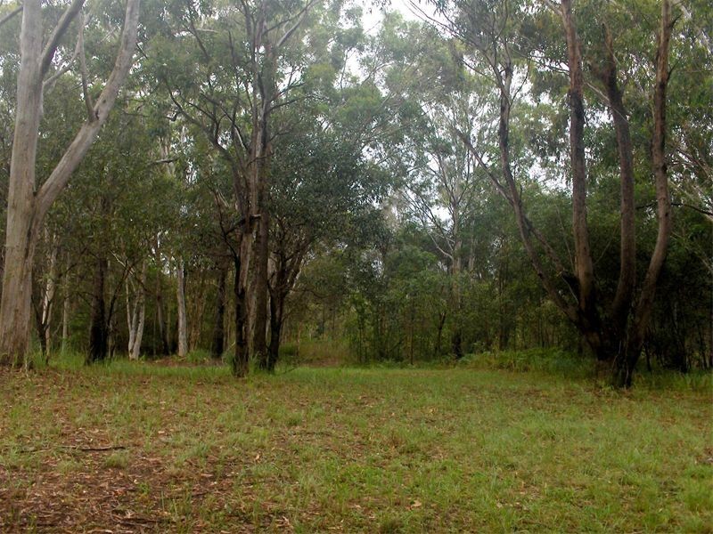 102 Avondale Road, Russell Island QLD 4184