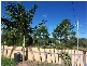 36 Main View Drive, Russell Island QLD 4184