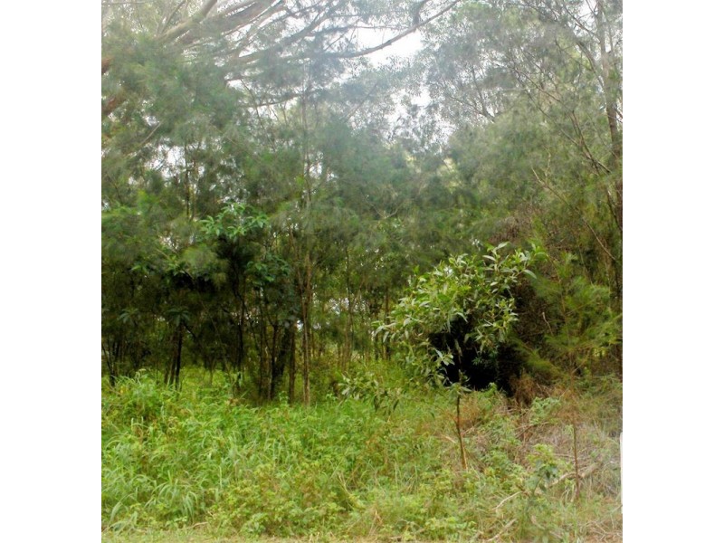 13 Coleus Street, Russell Island QLD 4184