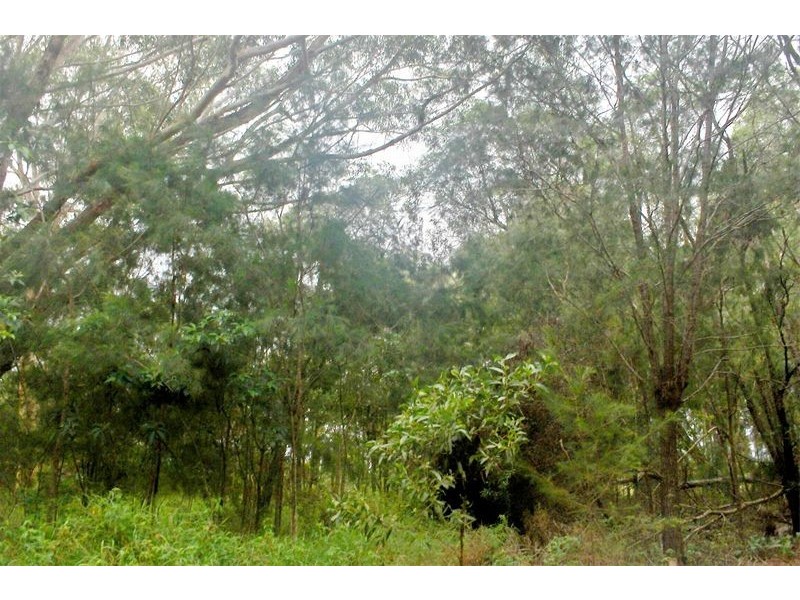 13 Coleus Street, Russell Island QLD 4184