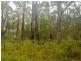 3 Glenfield Road, Russell Island QLD 4184