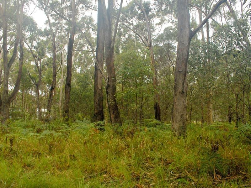 3 Glenfield Road, Russell Island QLD 4184