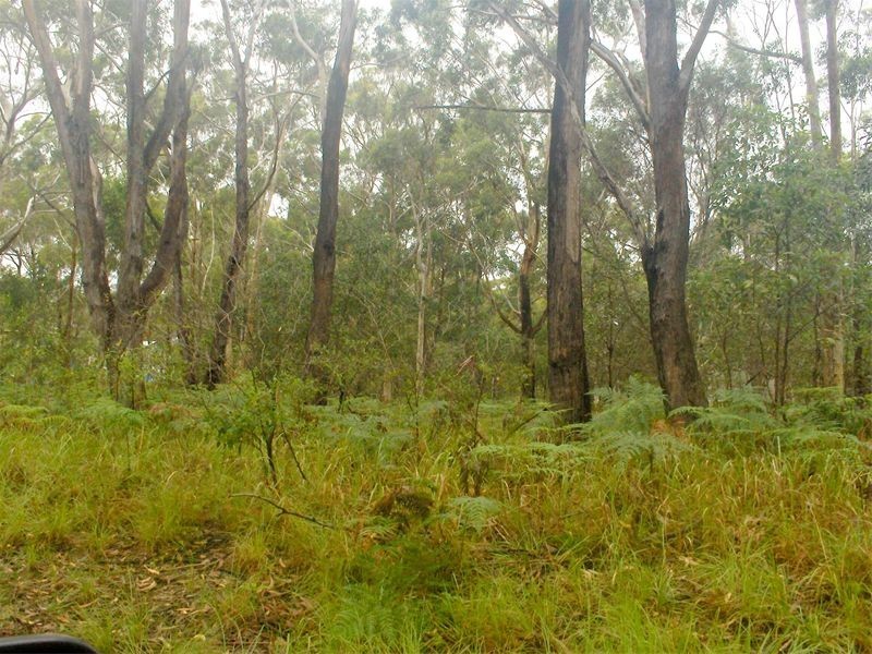 3 Glenfield Road, Russell Island QLD 4184