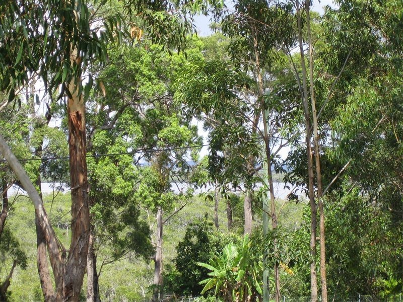 7  Boelgi Street, Russell Island QLD 4184