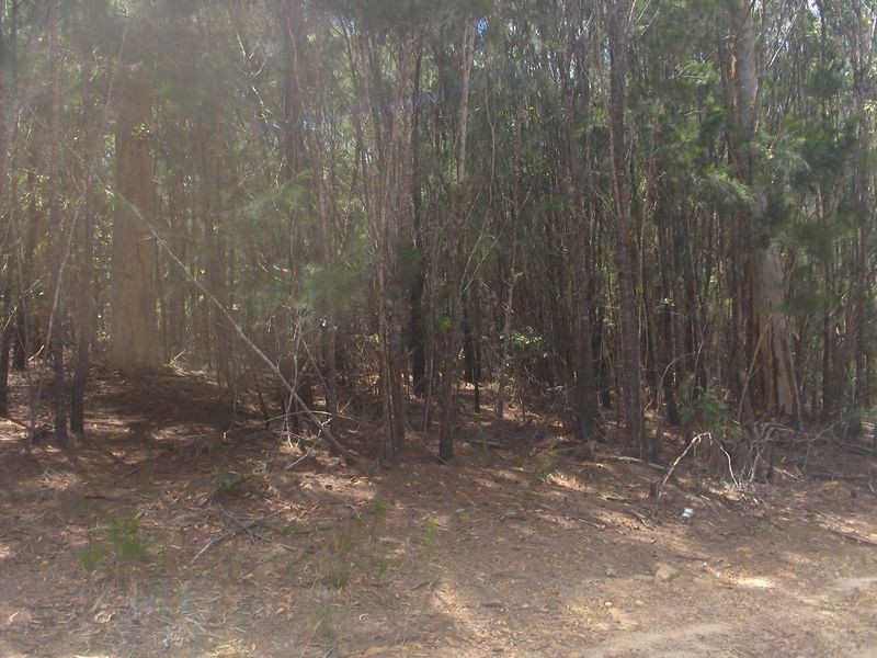 17  Emerald Street, Russell Island QLD 4184