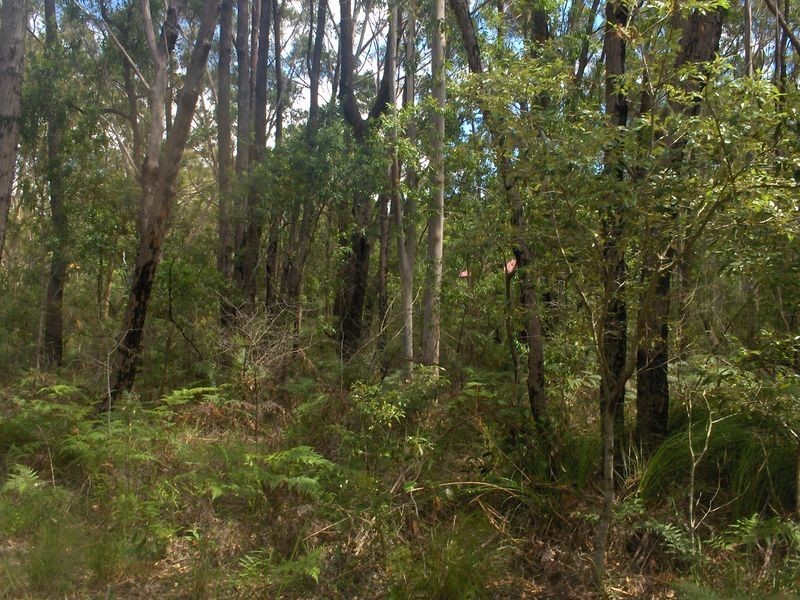 3 Mulbray Crescent, Russell Island QLD 4184