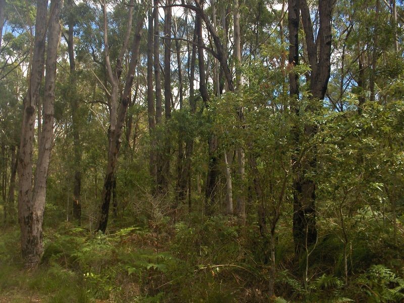 3 Mulbray Crescent, Russell Island QLD 4184