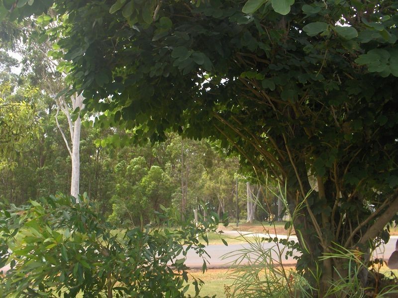 28 Canaipa Road, Russell Island QLD 4184