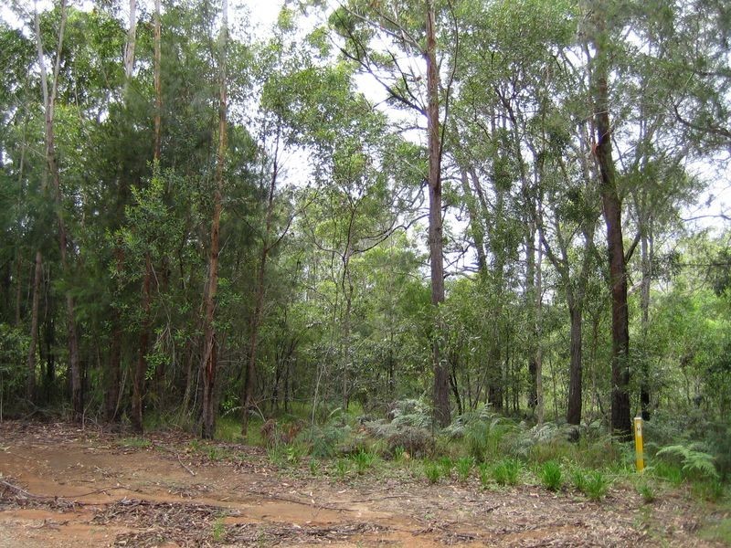 31 Catamaran Street, Russell Island QLD 4184