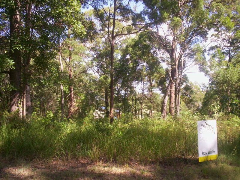 38 Angorra Street, Russell Island QLD 4184