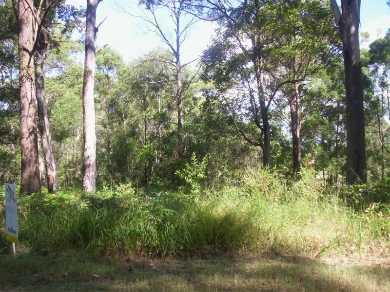 40 Angorra Street, Russell Island QLD 4184