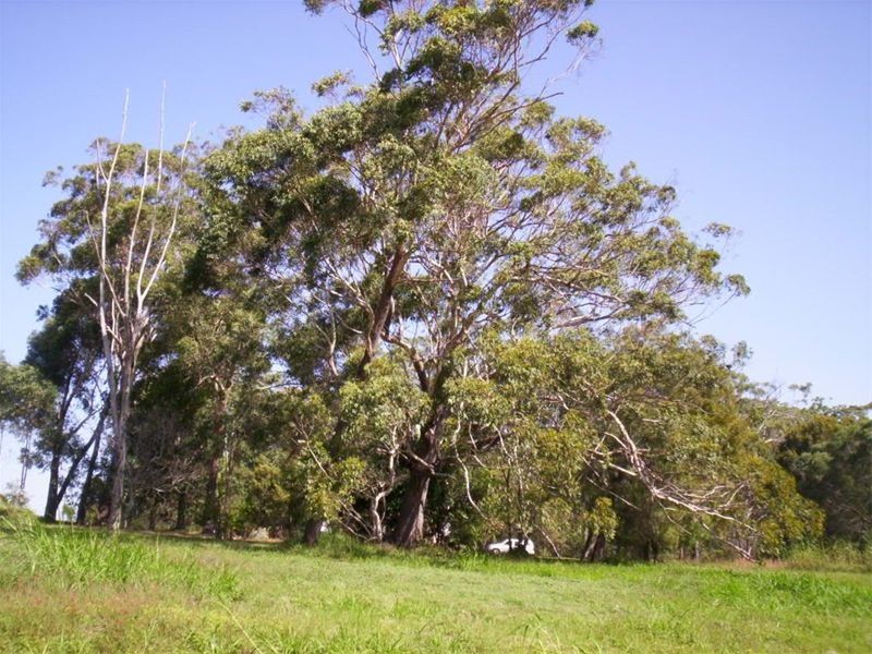 8 Yawl Street, Russell Island QLD 4184