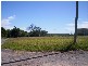19  Waratah Street, Russell Island QLD 4184