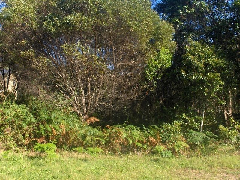 4 Wakehill Road, Russell Island QLD 4184