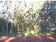 11  Toolona Avenue, Russell Island QLD 4184