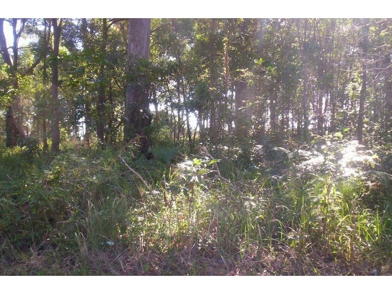 35 Ilumba Street, Russell Island QLD 4184