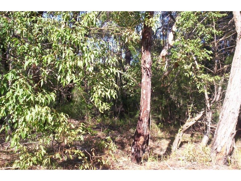 12 Hume Street, Russell Island QLD 4184