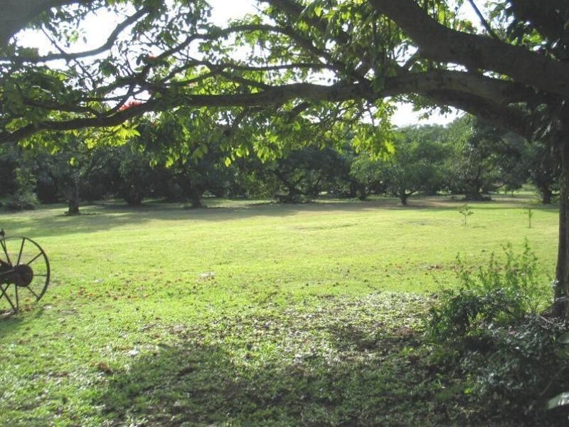 61  Kings Road, Russell Island QLD 4184