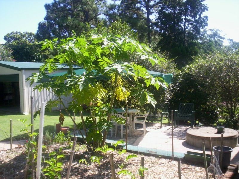 55 High Street, Russell Island QLD 4184